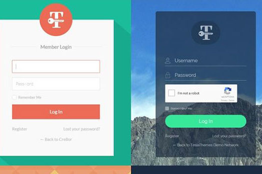 Tesla Themes Login Customizer