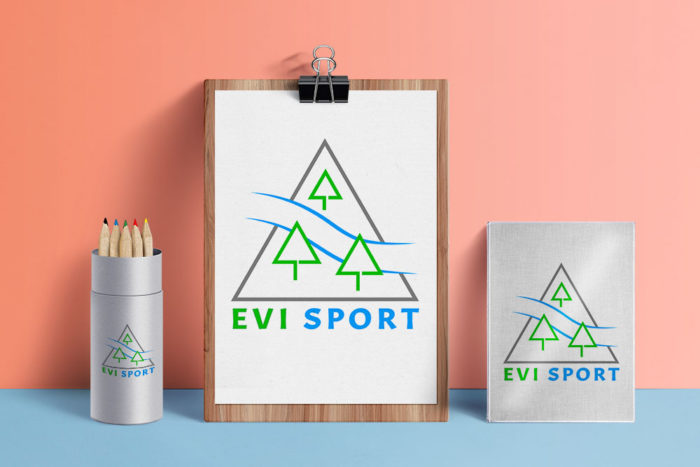 CryoDragon Logo Design (Waterloo Kitchener Cambridge) Evi Sport