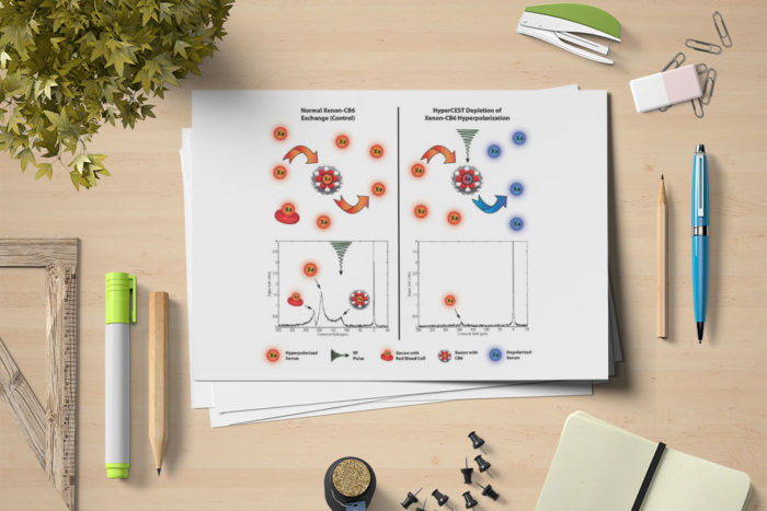 CryoDragon Scientific Illustrations (Waterloo Kitchener Cambridge) Hyperpolarized Xenon MRI with CB6