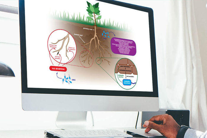 CryoDragon Scientific Illustrations (Waterloo Kitchener Cambridge) UW4 Mechanism