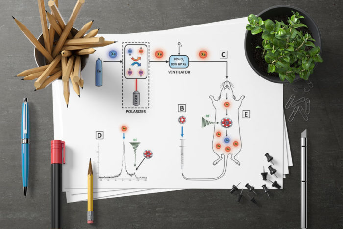 CryoDragon Scientific Illustrations (Waterloo Kitchener Cambridge) Curcubitural with Rat in Cage