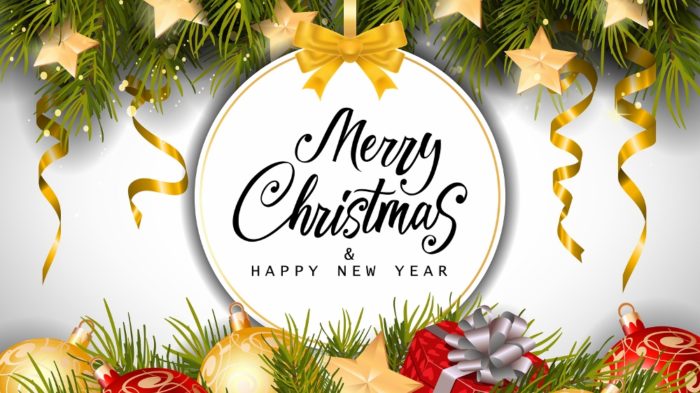 Merry Christmas and Happy New Year from CryoDragon 2017