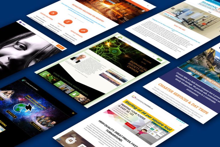 CryoDragon Kitchener Waterloo Cambridge Website Design Styles CryoDragon Kitchener Waterloo Cambridge Website Design Styles