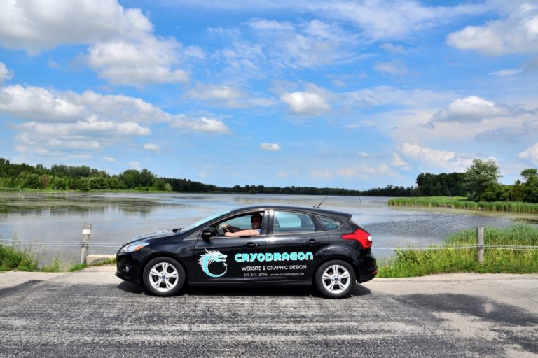 CryoDragon Beginning of Year 4 CryoDragon