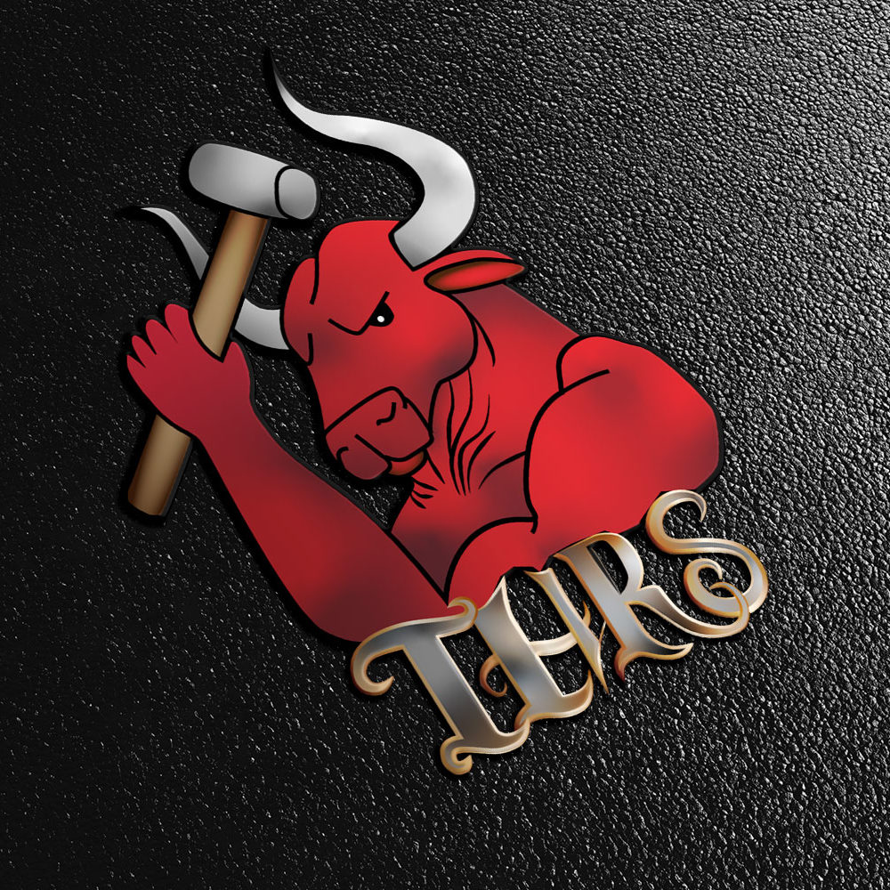 CryoDragon Kitchener Waterloo Logo Design Total Home Renovation