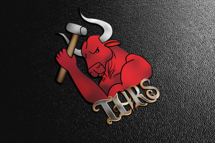 CryoDragon Kitchener Waterloo Logo Design Total Home Renovation