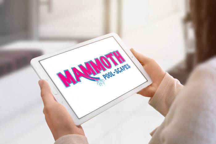 CryoDragon Kitchener Waterloo Logo Design Mammoth Poolscapes